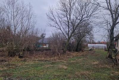 Casă cu Teren 1800 Mp în Mogoșești - 3