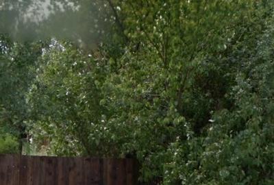 Casă cu mult teren,  sat Șerbănești, com. Corbița, jud. Vrancea Casă cu mult teren,  sat Șerbănești, com. Corbița, jud. Vrancea - 8