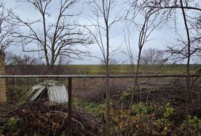 Casă cu 3 camere cu Teren 2500 Mp în Vetiș - 1