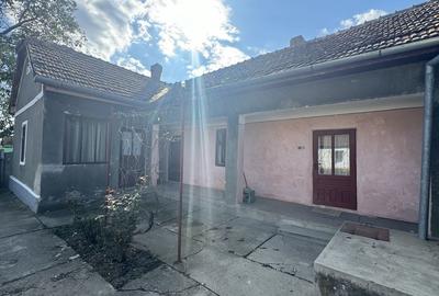 Casă de vânzare in Tisa Nouă, teren generos - 18