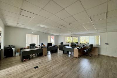 Spațiu comercial, de 483 mp, în Dumbrăvița - 15