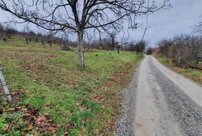 RECO Teren  in Oradea - 6