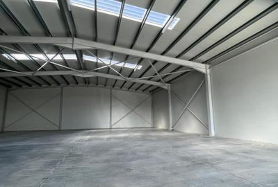 Hale depozitare de in zona de Nord Chitila Hale depozitare de in zona de Nord Chitila - 3