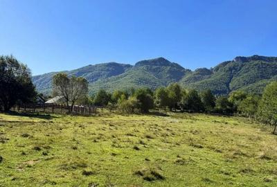 Spațiu comercial, în Tohanu Nou - 1