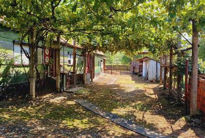 Casă cu 2 camere în Bârsău - 3