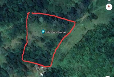 Spațiu comercial, în Provița de Jos - 7