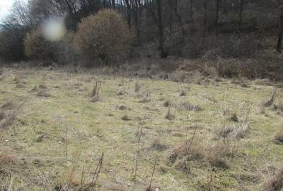 Teren în Central - 2