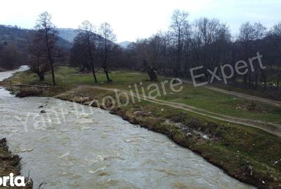 Teren de 3000 mp, în Corbeni - 1