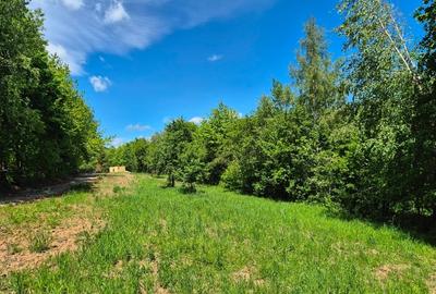 Vand teren in zona Fagaras, ideal refugiu vacanta/Comision 0 % - 8