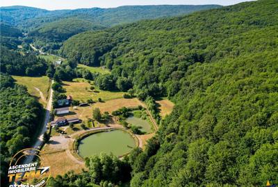 Spațiu comercial, în Valea Dobârlăului - 7