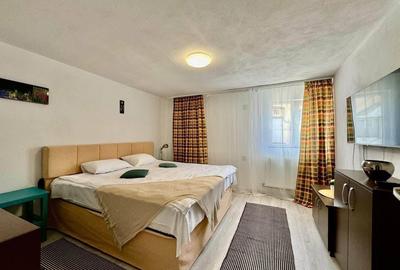 Afacere la cheie -Vila 5 apartamente - zona Parcul Reconstructiei Afacere la cheie -Vila 5 apartamente - zona Parcul Reconstructiei - 14