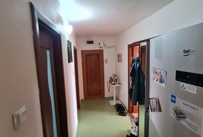 Apartament cu 5 camere decomandat în Micălaca - 6