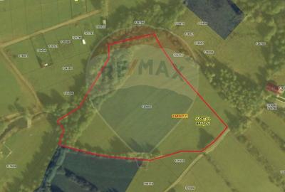 Teren intravilan de 15800 mp, în Tohănița - 3