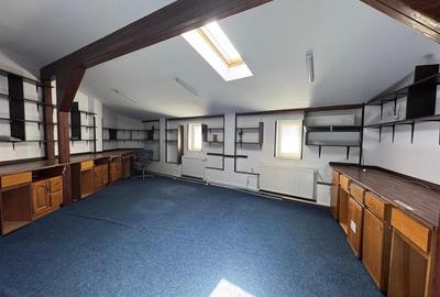 Inchiriere imobil D+P+1+M | 450 mp | Cismigiu - Cazzavillan | - 24