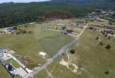 Teren agricol extravilan de 3757 mp, în Păltinoasa - 6