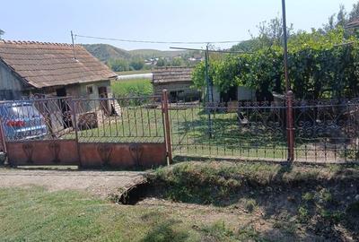Casă cu 4 camere în Soporu de Câmpie - 9