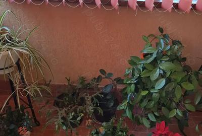 Casă cu 5 camere cu Teren 2550 Mp în Munteni - 4