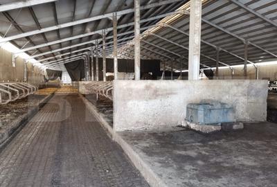 Spațiu comercial, de 3,000 mp, în Dej - 13