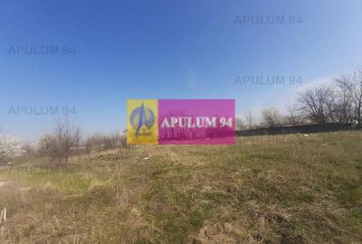 Teren Construcții intravilan de 4800 mp, în Glina - 36