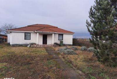 Casă cu 4 camere cu Teren 1376 Mp în Moftin - 1