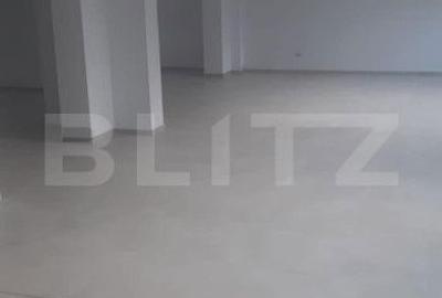 Spațiu comercial, de 148 mp, în Paltin - 1