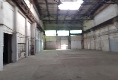 Zona FAUR - Hala open space 1750mp - 5