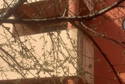 Casă în Central - 1