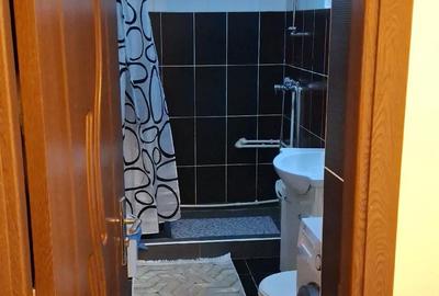 Garsonieră nedecomandată în Orizont - 2