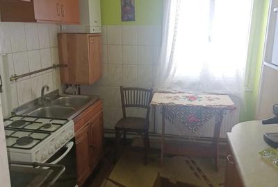 Casa tradi?ionala din piatra ?i lemn, 200 mp utili, teren 850 mp Cavnic - 8