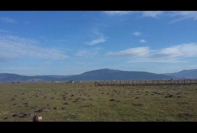 Spațiu comercial, în Prejmer - 4