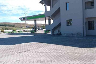 Spațiu comercial, de 10,000 mp, în Brădești - 3