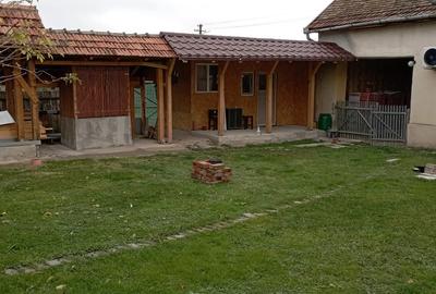 Casă cu 2 camere cu Teren 2500 Mp în Doclin - 2