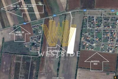 Teren de 5070 mp, în Bucovăț (Remetea Mare)