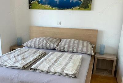 Apartament 2 camere de inchiriat in zona Liviu Rebreanu - 1