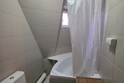 Podul de Fier-Iasicon Towers-2 Camere 54mp- - 10