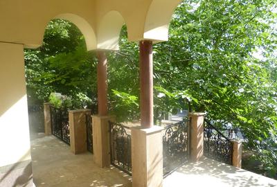 Vila splendida cu 500 mp utili de vanzare in Cluj centru, pe teren de 1645 mp - 7