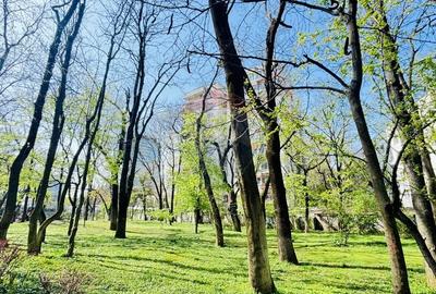 Apartament cu 4 camere decomandat în Kiseleff - 15