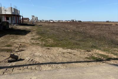 Teren de 1800 mp, în Dragomirești-Vale - 2