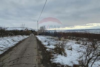 Teren de 10000 mp, în Rădășeni - 6