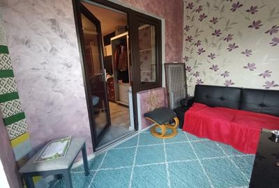 VILA CU 5 CAMERE, 150 MP UTILI, BECI, GARAJ, 717 MP TEREN, VISAN-BUCIUM - 28