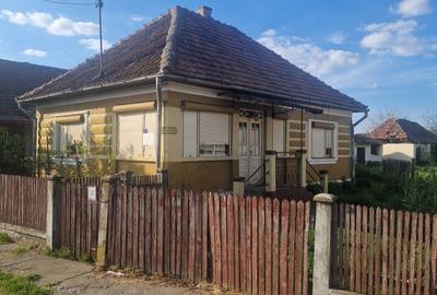 Casă cu 2 camere în Medieșu Aurit - 1