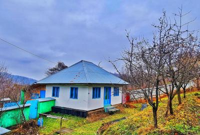 Casă cu 3 camere în Cucuieți - 1
