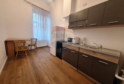 Apartament cu 1 camera de inchiriat pe str. N Balcescu - 3