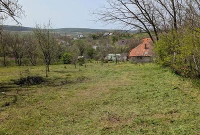 Teren de 1500 mp, în Șimnicu de Sus - 10