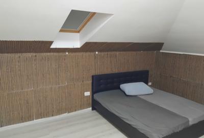 Apartament cu 3 camere decomandat în Moșnița Veche - 1