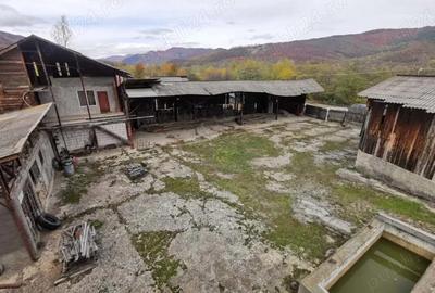 Spațiu comercial, de 1,350 mp, în Chirlești - 8