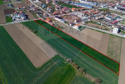 Teren Hateg / Strada Raul Mare ,jud Hunedoara - 2