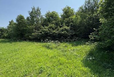 Spațiu comercial, în Iclozel - 3