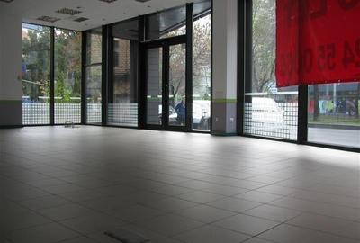 Vanzare cladire de birouri - stradala - Titulescu - 9