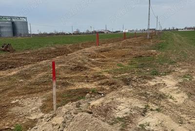 Teren de 500 mp, în Sântandrei - 3